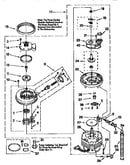 Pump and motor