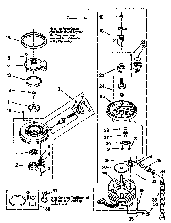 Pump and motor