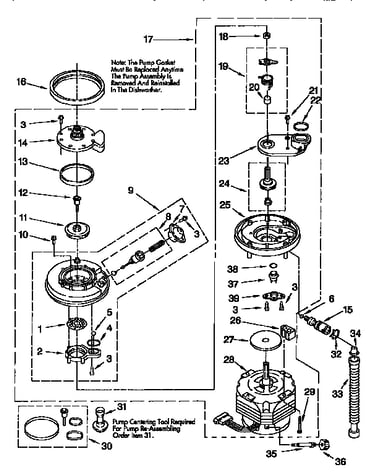 Pump and motor