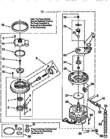 Pump and motor