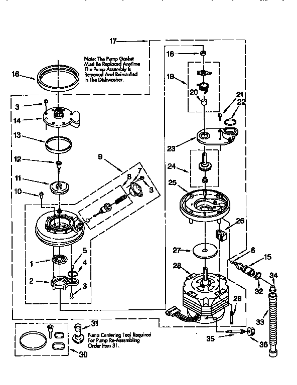 Pump and motor