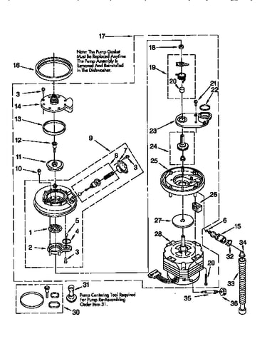 Pump and motor