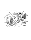 Single package gas/electric