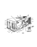 Single package gas/electric