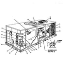 Single package gas/electric