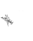Headlight panel assembly