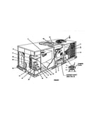 Single package gas/electric