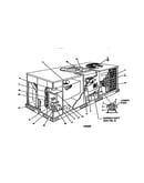 Single package gas/electric