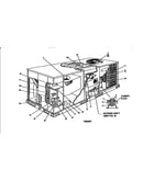 Single package gas/electric