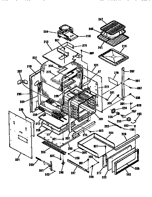 BODY SECTION