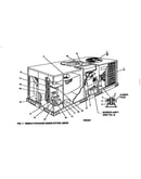 Single package unit