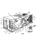 Single package gas/electric units