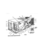 Single package gas/electric units