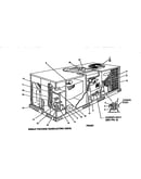 Single package gas/electric units