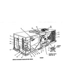Single package gas/electric units
