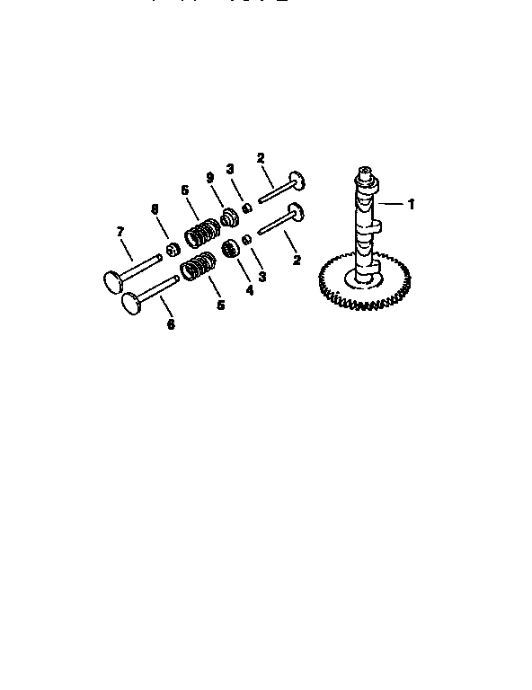 Crankshaft and valves