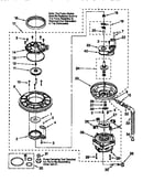 Pump and motor