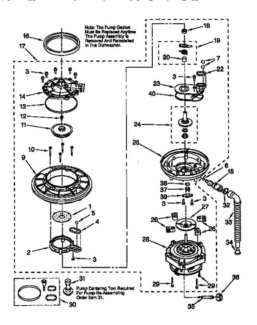 Pump and motor
