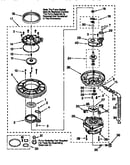 Pump and motor