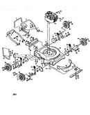 Rotary lawn mower