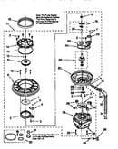 Pump and motor