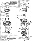 Pump and motor
