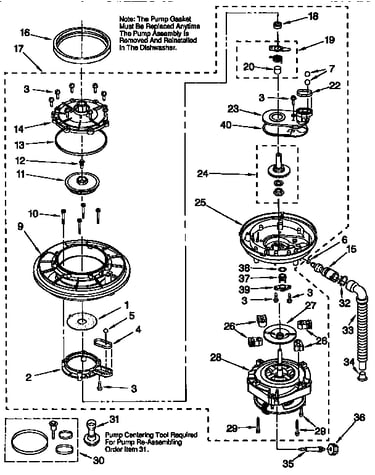 Pump and motor