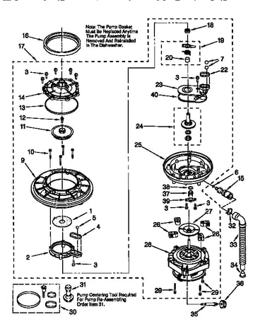 Pump and motor