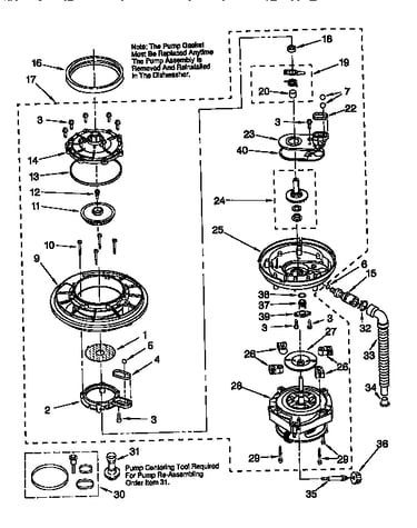 Pump and motor