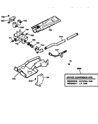 Gas valve & burner assembly