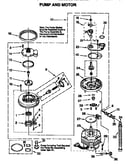 Pump and motor