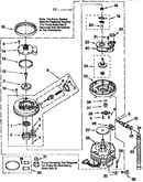 Pump and motor