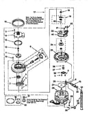 Pump and motor