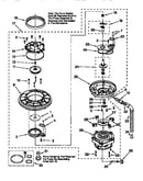 Pump and motor