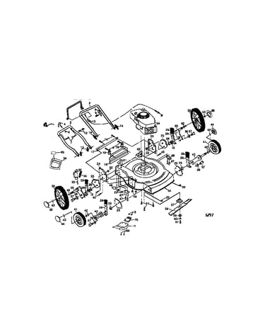 Rotary lawn mower