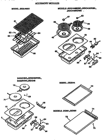 Accessory modules