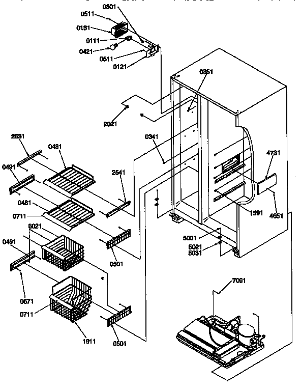 Freezer shelves and light