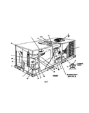 Single package gas/electric units