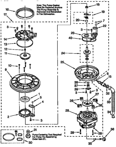 Pump and motor