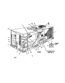 Single package gas/electric units