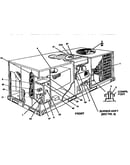 Single package gas/electric units