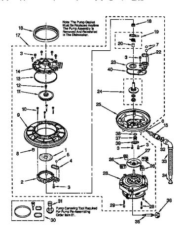 Pump and motor