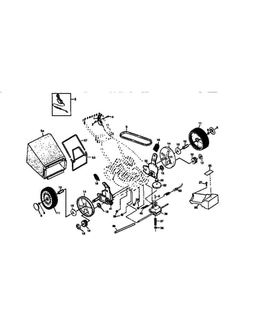 Rotary lawn mower