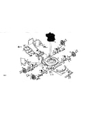 Rotary lawn mower
