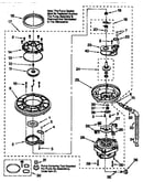 Pump and motor