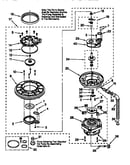 Pump and motor