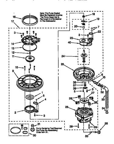 Pump and motor