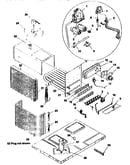 Functional replacement