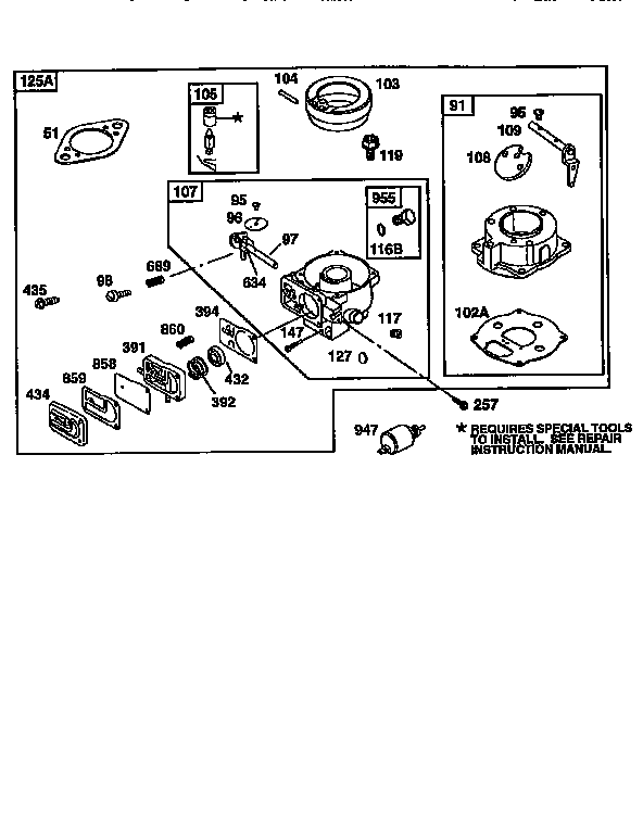 Carburetor -kit 491539