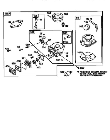 Carburetor -kit 491539